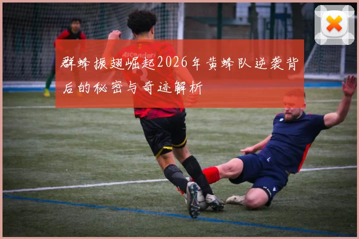 群蜂振翅崛起2026年黄蜂队逆袭背后的秘密与奇迹解析