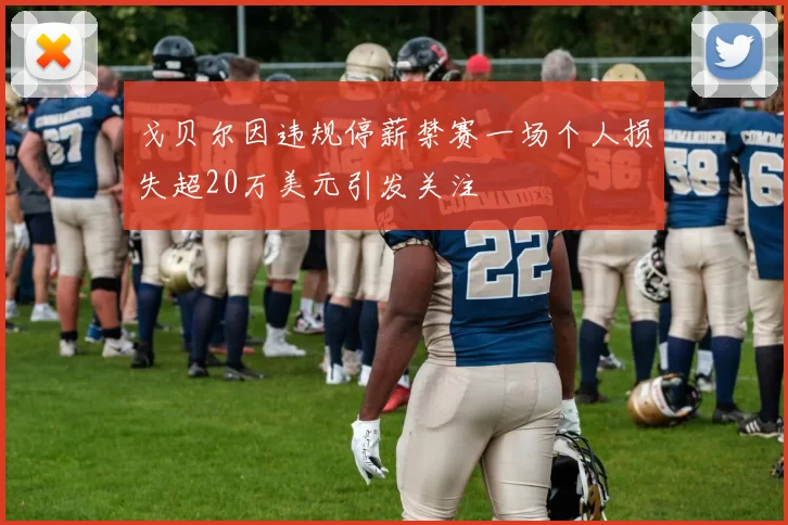 戈贝尔因违规停薪禁赛一场个人损失超20万美元引发关注